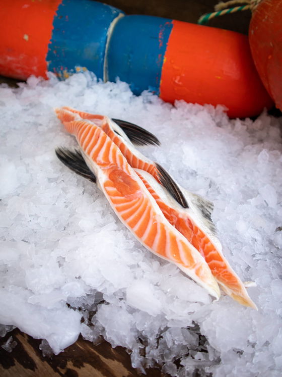 King Salmon Bellies