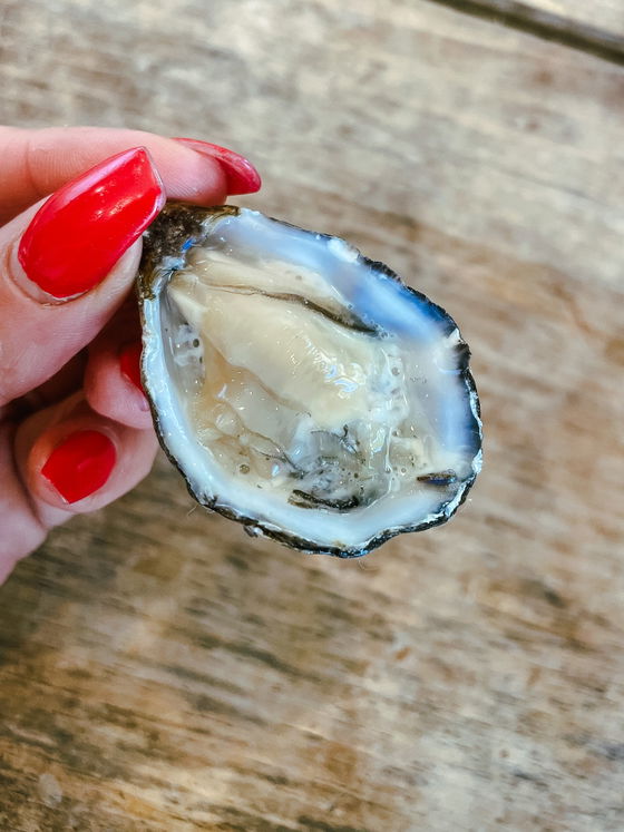 Oishi Oysters