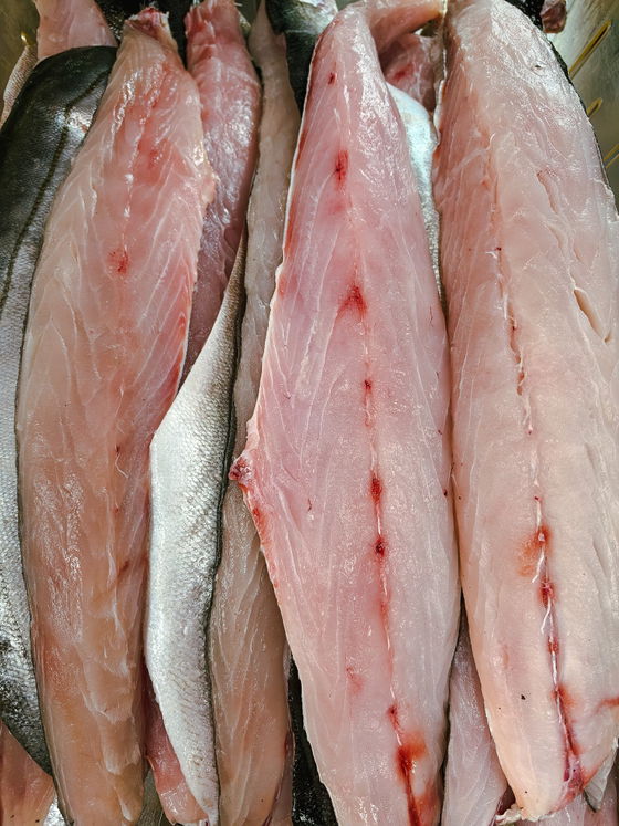Baracuda