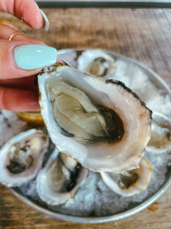 Shigoku Oysters