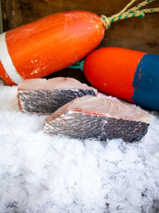 White Seabass