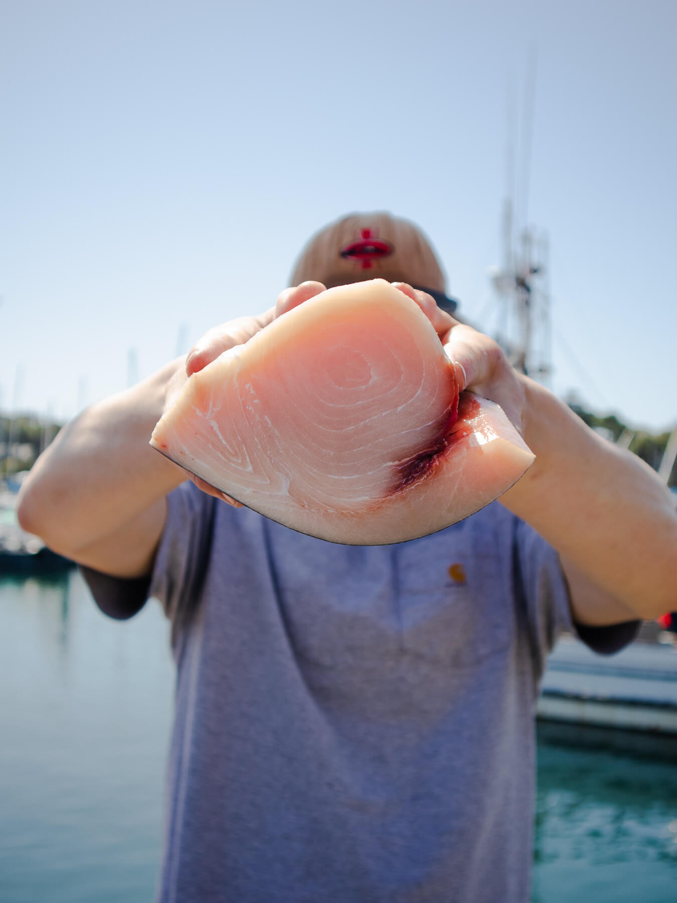 Swordfish — photo 2