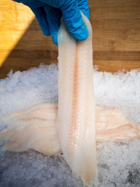 Dover Sole