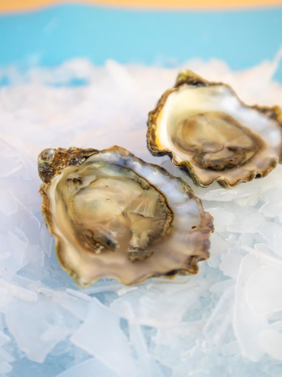 Kumamoto Oysters