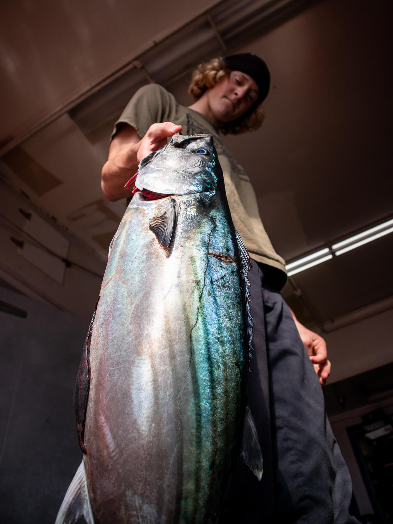 Bonito — photo 3