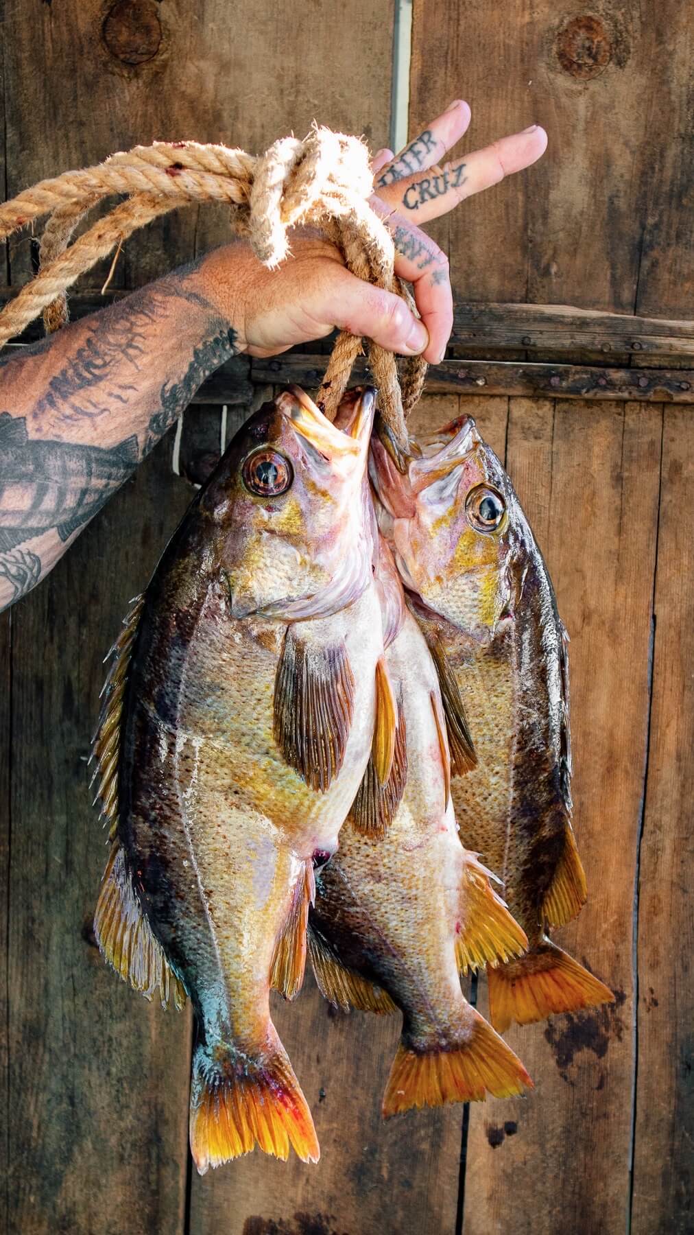 Rockfish (Skin-Off) — photo 4