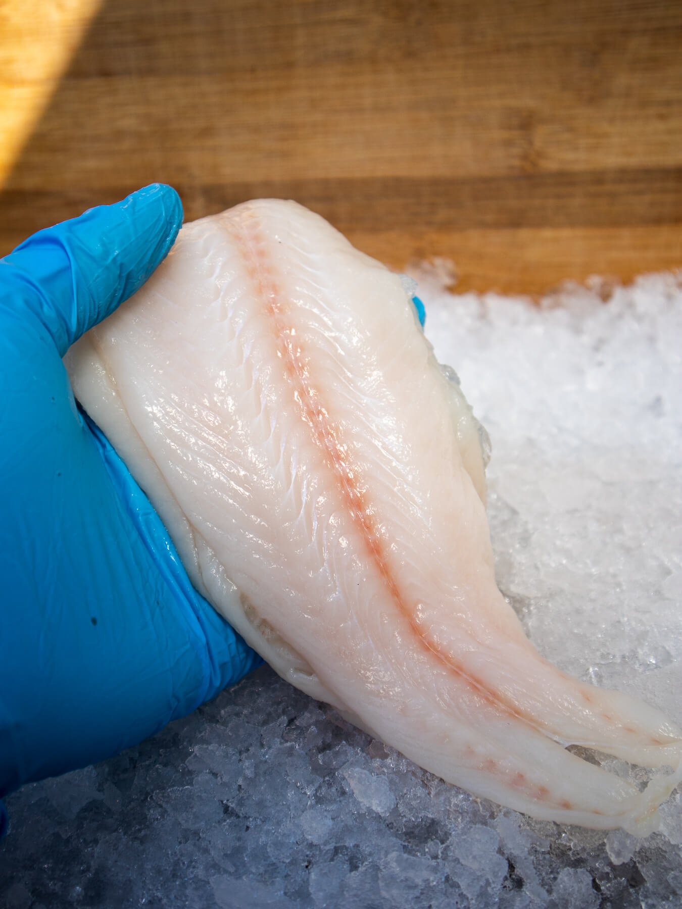 Dover Sole — photo 3