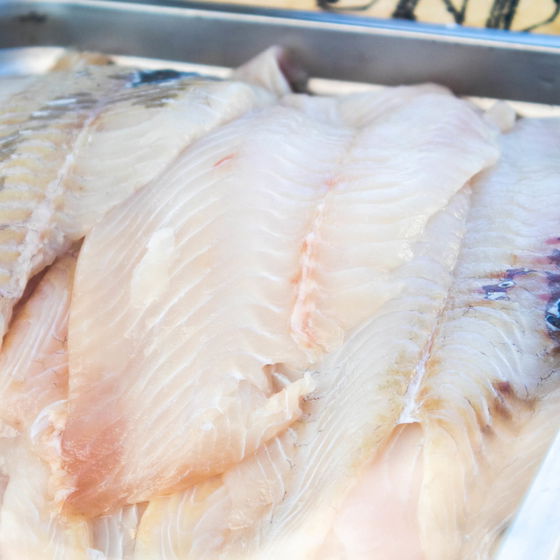 Flounder