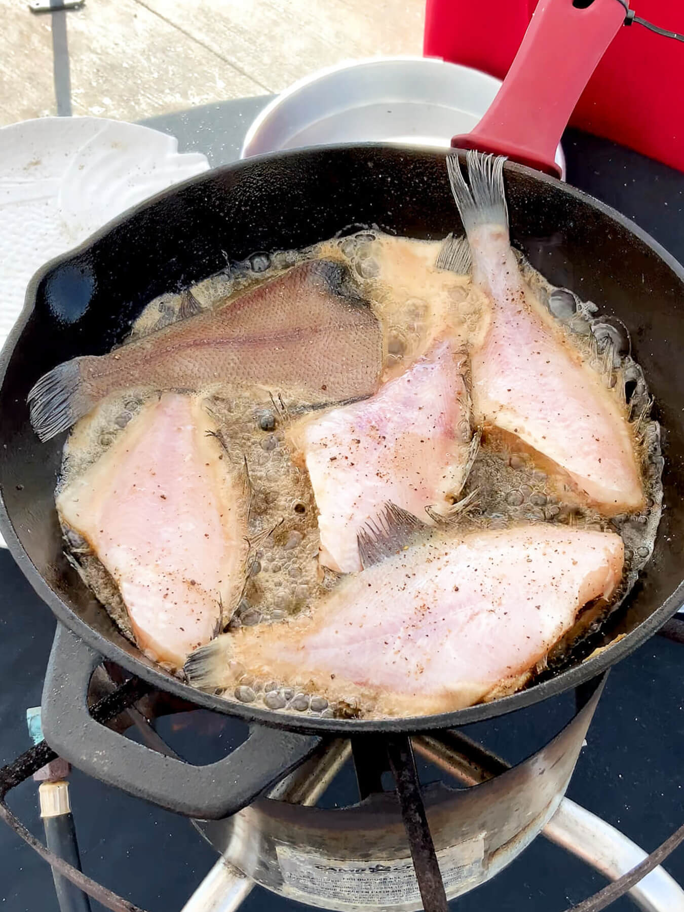 Four Sand Dabs in frying cast iron skillet