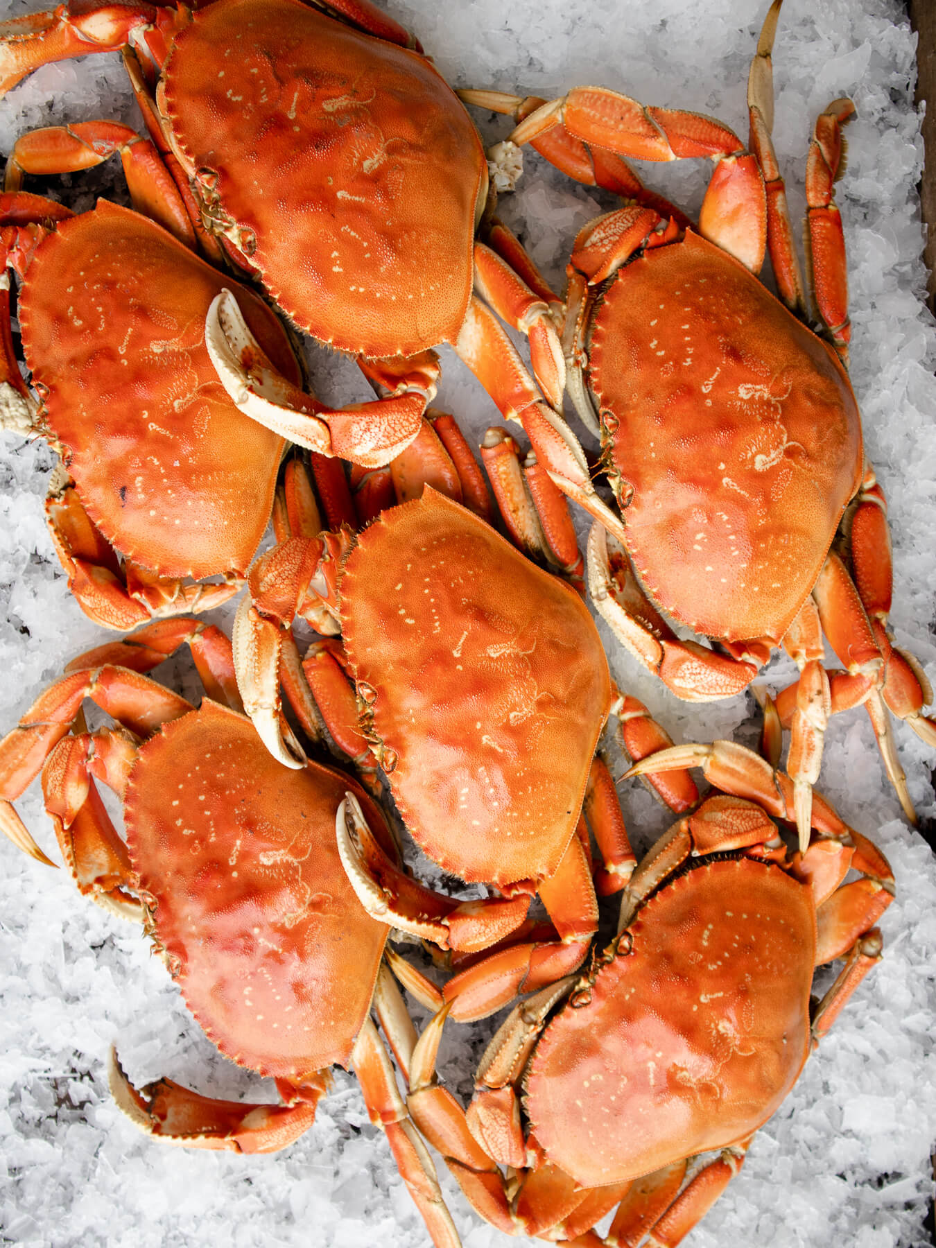 The Art of Reheating Dungeness Crab — photo 2